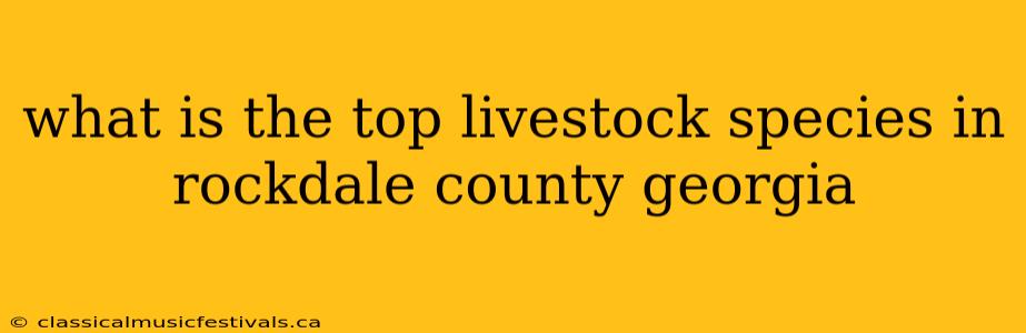 what is the top livestock species in rockdale county georgia