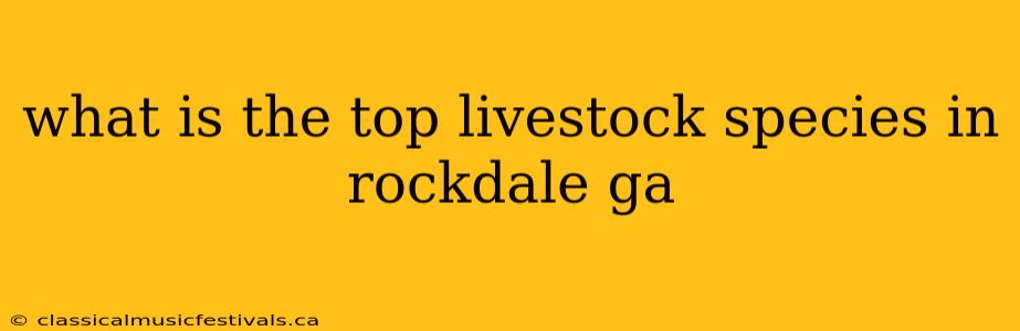 what is the top livestock species in rockdale ga