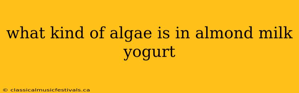 what kind of algae is in almond milk yogurt