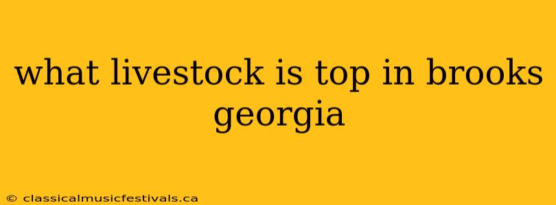 what livestock is top in brooks georgia