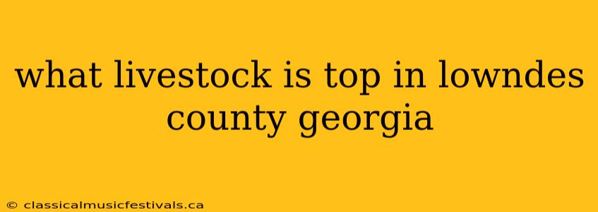 what livestock is top in lowndes county georgia