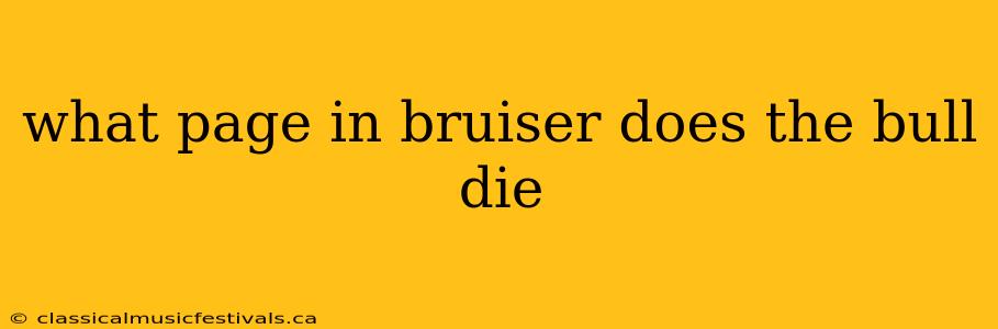 what page in bruiser does the bull die