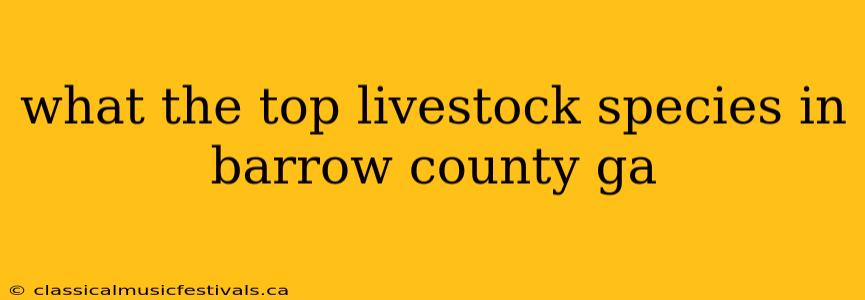 what the top livestock species in barrow county ga