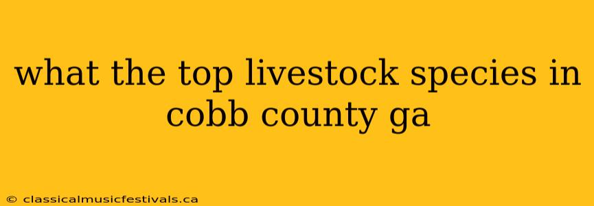 what the top livestock species in cobb county ga