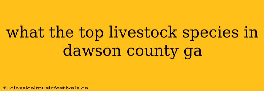 what the top livestock species in dawson county ga