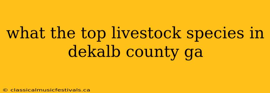 what the top livestock species in dekalb county ga