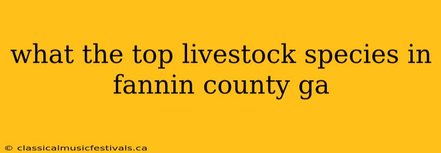 what the top livestock species in fannin county ga