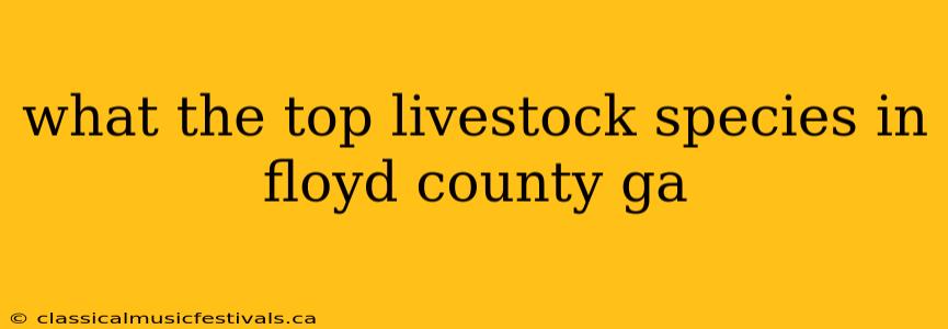 what the top livestock species in floyd county ga