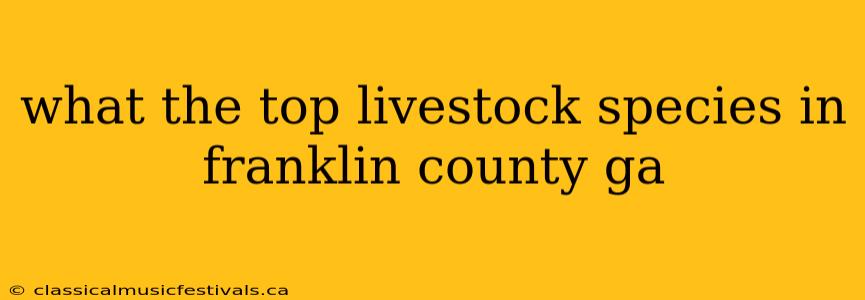 what the top livestock species in franklin county ga