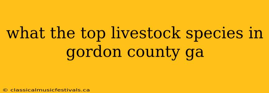 what the top livestock species in gordon county ga