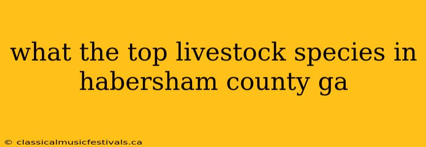 what the top livestock species in habersham county ga