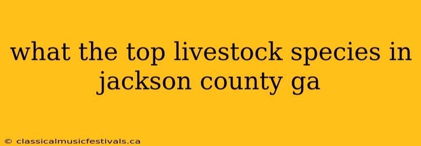 what the top livestock species in jackson county ga