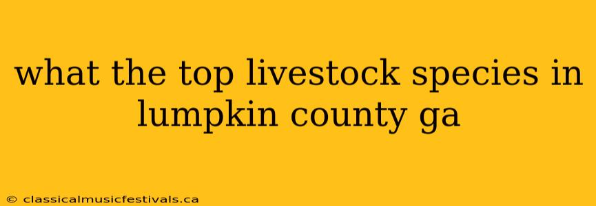 what the top livestock species in lumpkin county ga