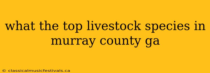 what the top livestock species in murray county ga