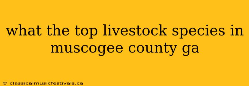 what the top livestock species in muscogee county ga