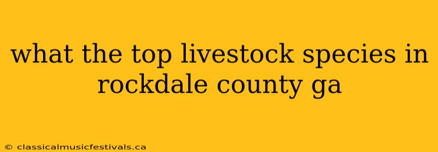 what the top livestock species in rockdale county ga