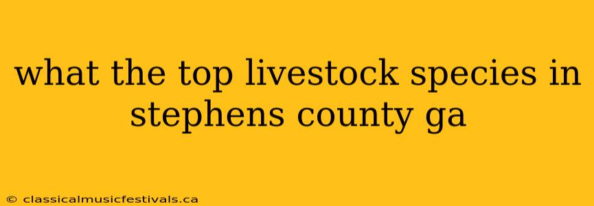 what the top livestock species in stephens county ga