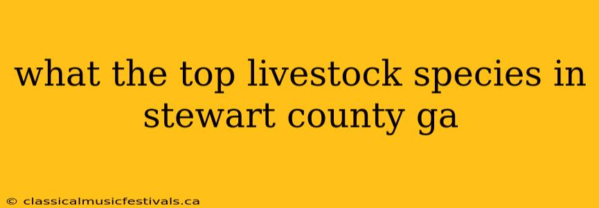 what the top livestock species in stewart county ga