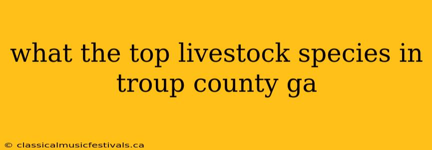 what the top livestock species in troup county ga