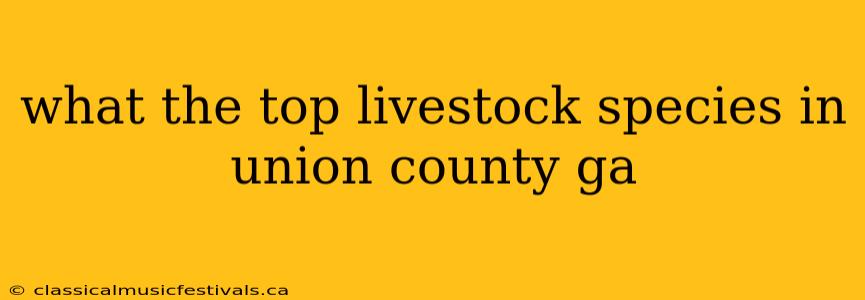 what the top livestock species in union county ga