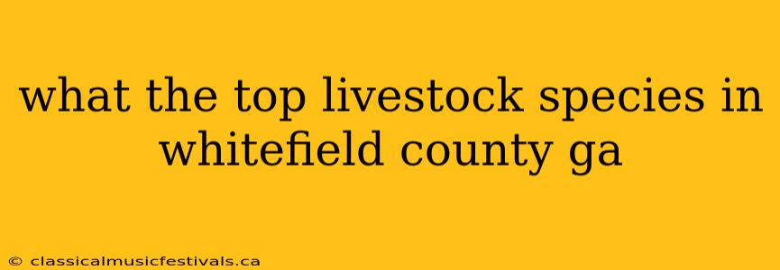 what the top livestock species in whitefield county ga