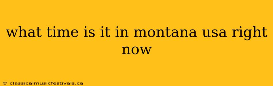 what time is it in montana usa right now