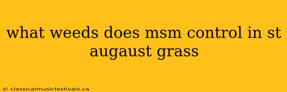 what weeds does msm control in st augaust grass