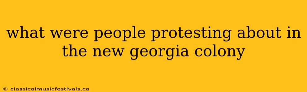 what were people protesting about in the new georgia colony