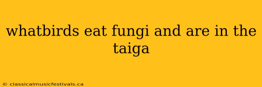 whatbirds eat fungi and are in the taiga