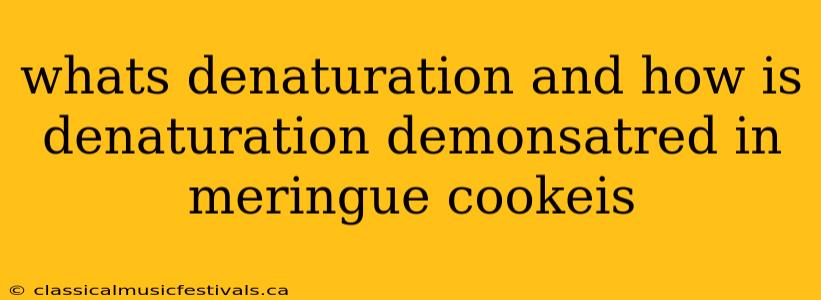 whats denaturation and how is denaturation demonsatred in meringue cookeis