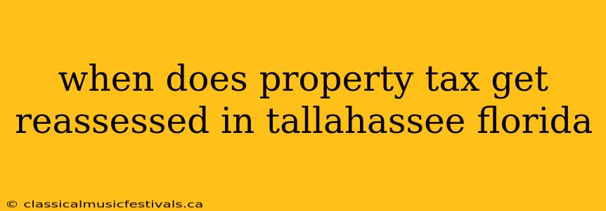 when does property tax get reassessed in tallahassee florida