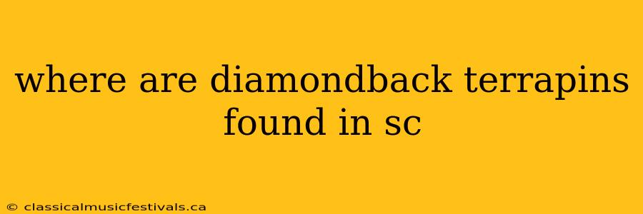 where are diamondback terrapins found in sc