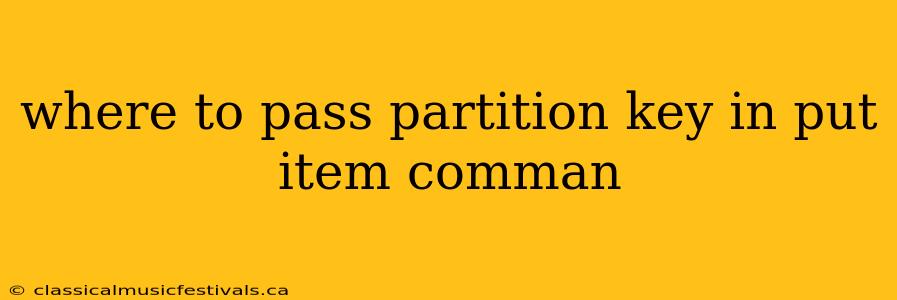 where to pass partition key in put item comman