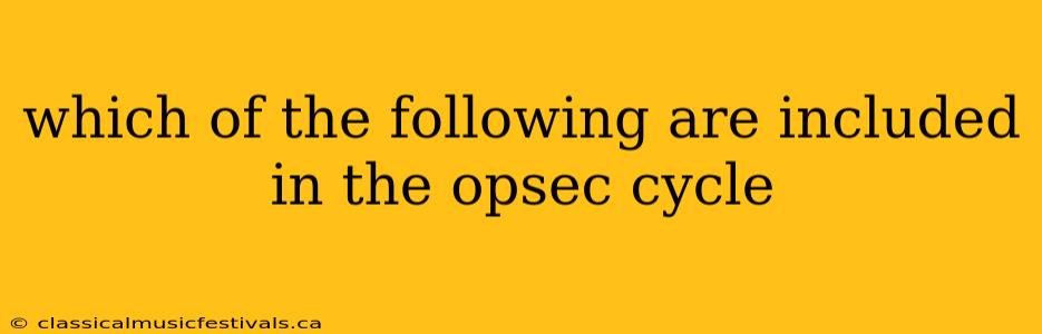 which of the following are included in the opsec cycle