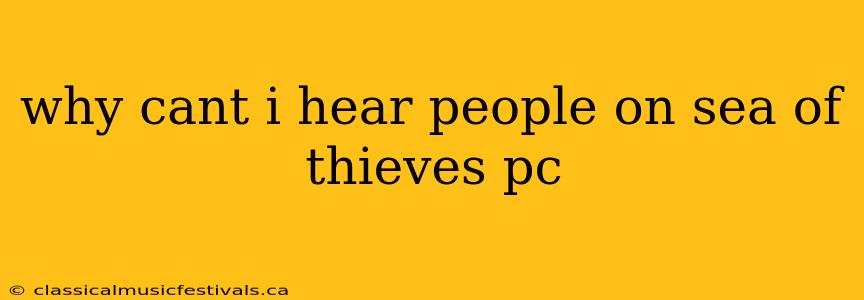 why cant i hear people on sea of thieves pc