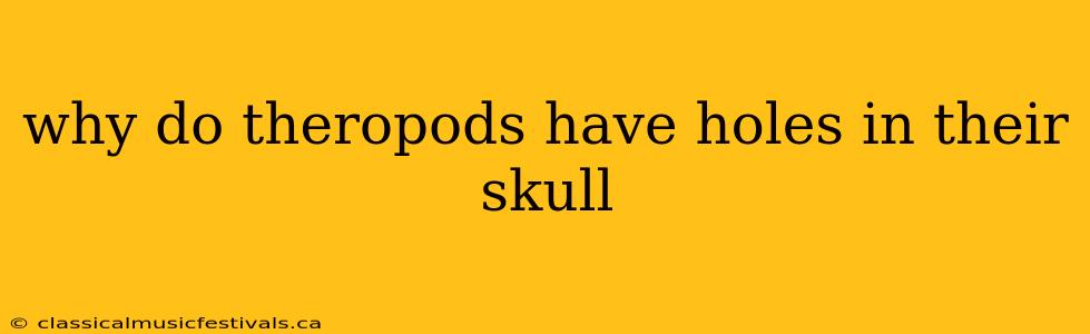 why do theropods have holes in their skull