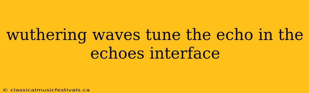 wuthering waves tune the echo in the echoes interface